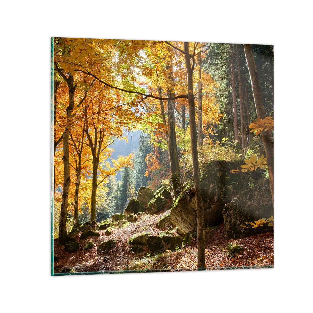 Tablou pe sticlă - Timp de relaxare - 60x60 cm