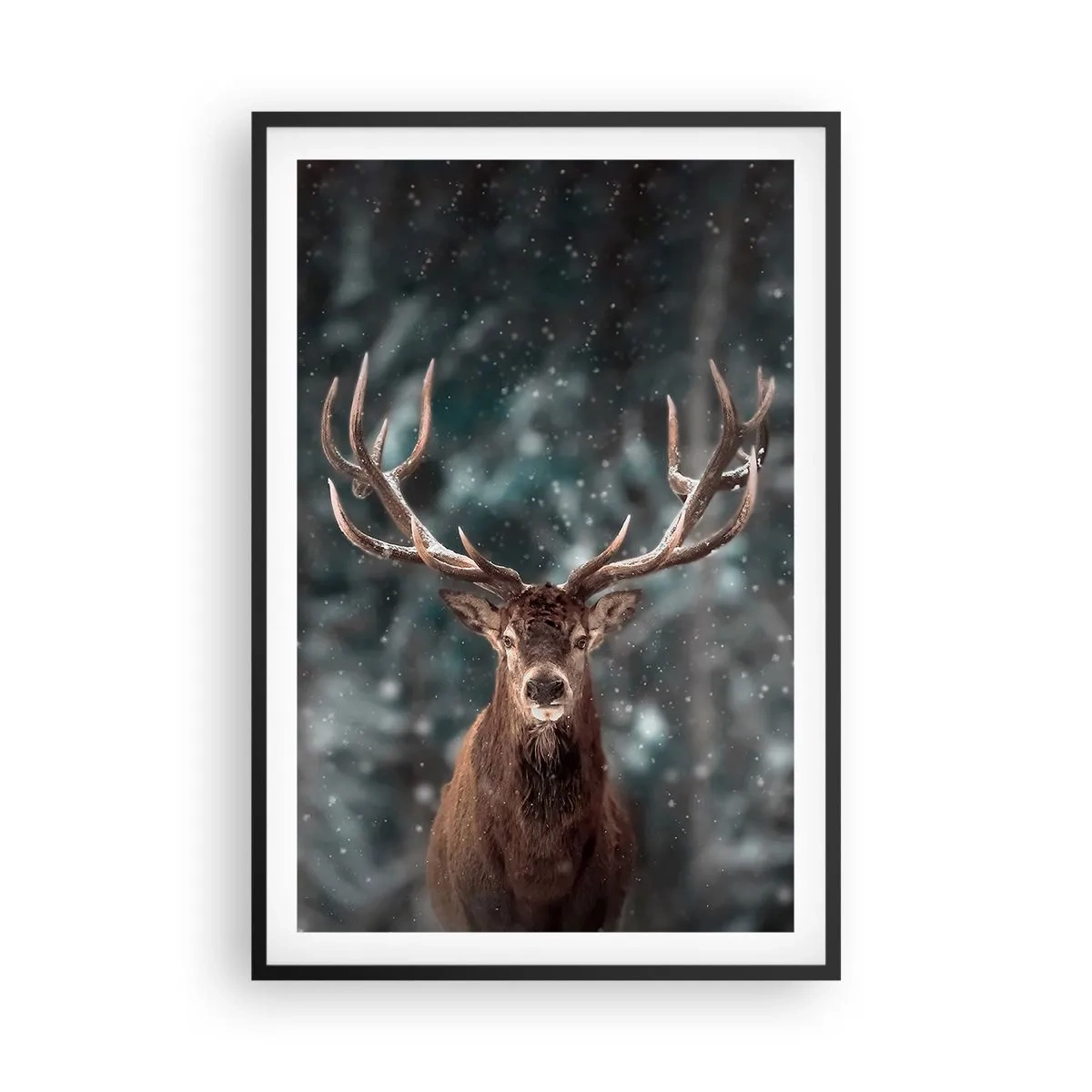Poster în ramă neagră - Regele pădurii a fost încoronat - 61x91 cm