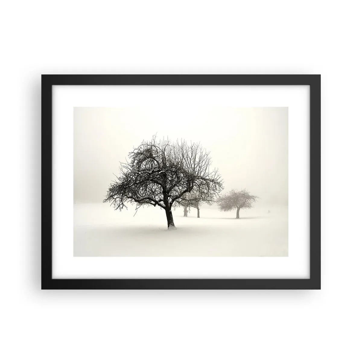 Poster în ramă neagră - Hibernare - 40x30 cm