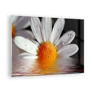 Tablou pe sticlă - margaretă cu picături de apă reflectate în apă - 70x50cm - Răsăritul soarelui al Margaretei - Decorațiune modernă pentru perete pentru living și dormitor ARTTOR