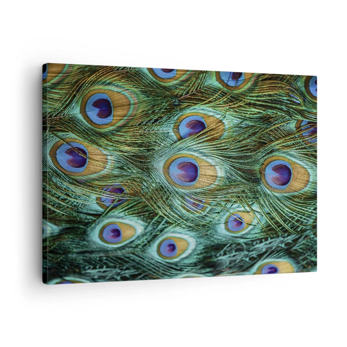 Tablou pe pânză Canvas - Detalii despre pene de păun în culori bogate - 70x50cm - O privire cu ochi de păun - Decorațiune modernă pentru perete pentru living și dormitor ARTTOR