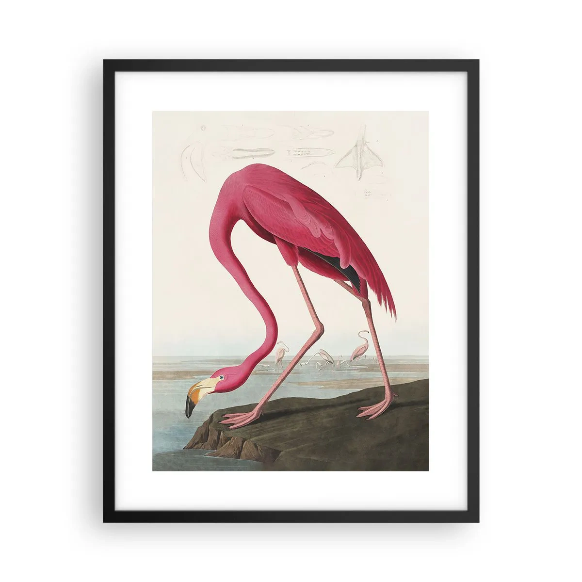 Poster în ramă neagră - O creatură uimitoare - 40x50 cm