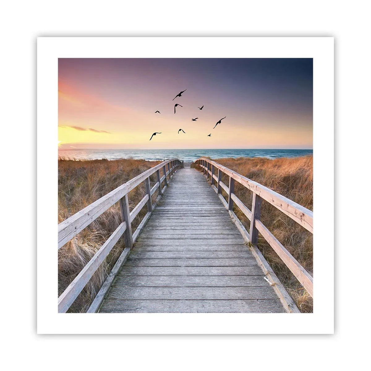 Poster - Spațiul pentru a zbura - 50x50 cm