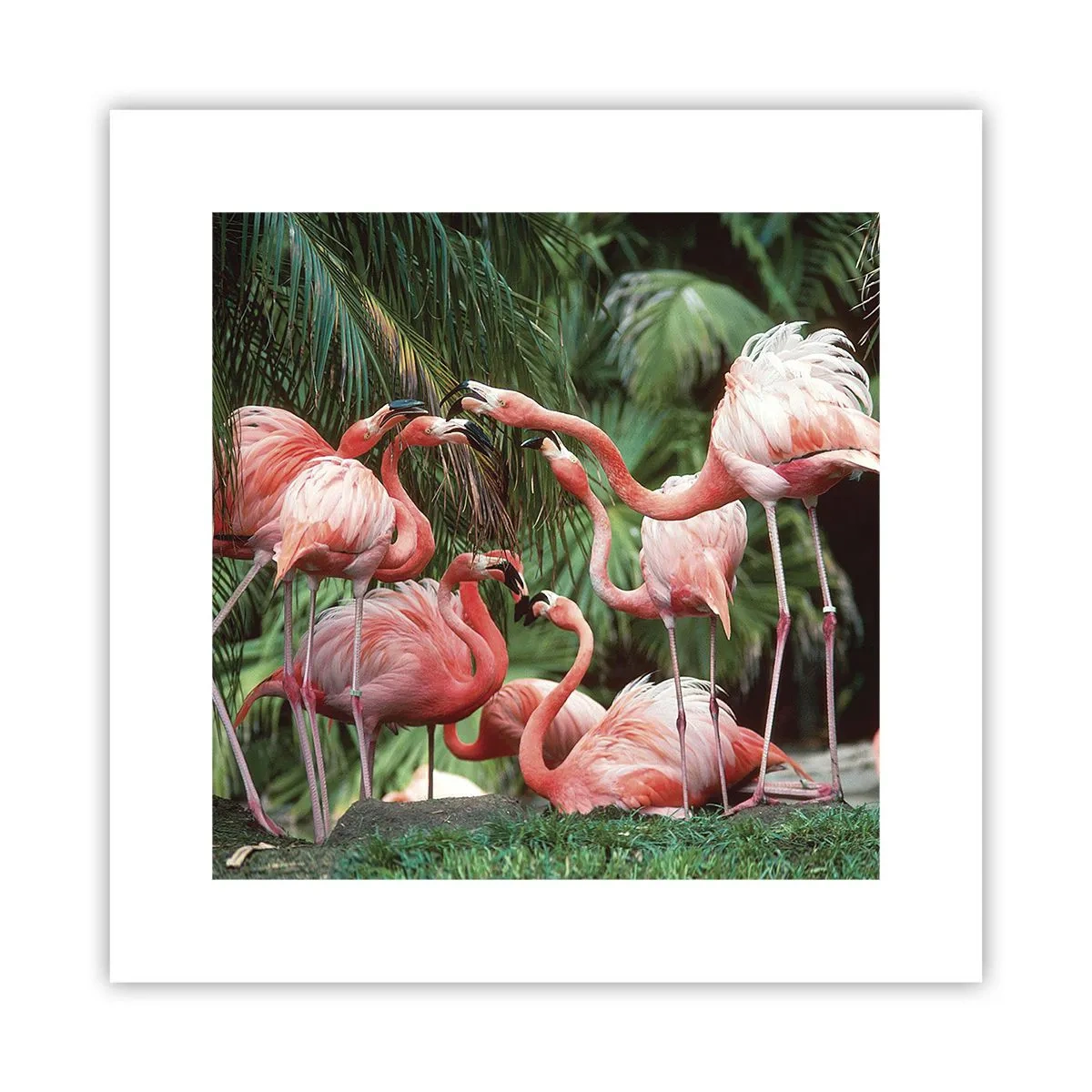 Poster - Bârfa de după-amiază - 30x30 cm