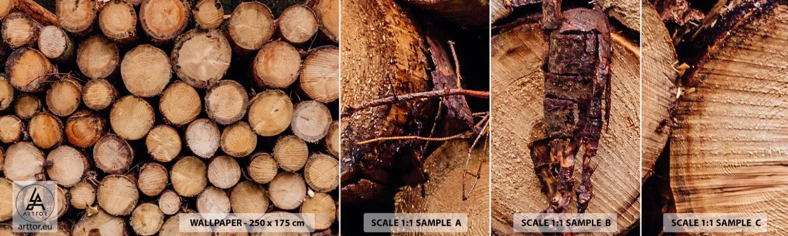 Mostră de Tapet Standard Eco - Un nou început - Lemn, Bușteni de lemn, Natură - 100x30 cm