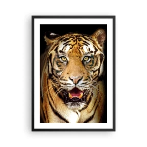 Poster în ramă neagră - Portretul unui tigru pe fundal negru - 50x70cm - Sălbăticia inimii - Decorațiune modernă pentru perete pentru living și dormitor ARTTOR