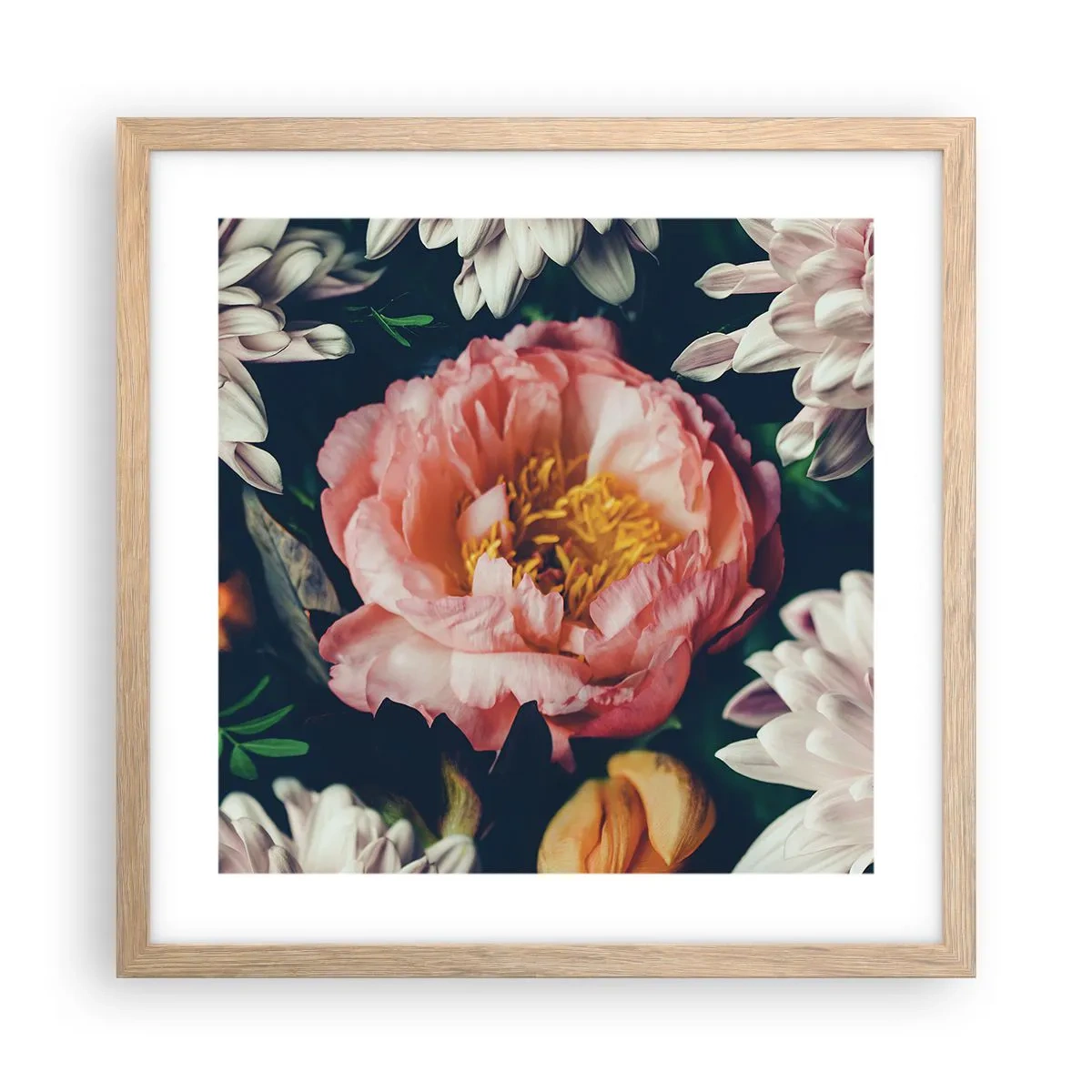 Poster în ramă de stejar deschis - Cu splendoare barocă - 40x40 cm