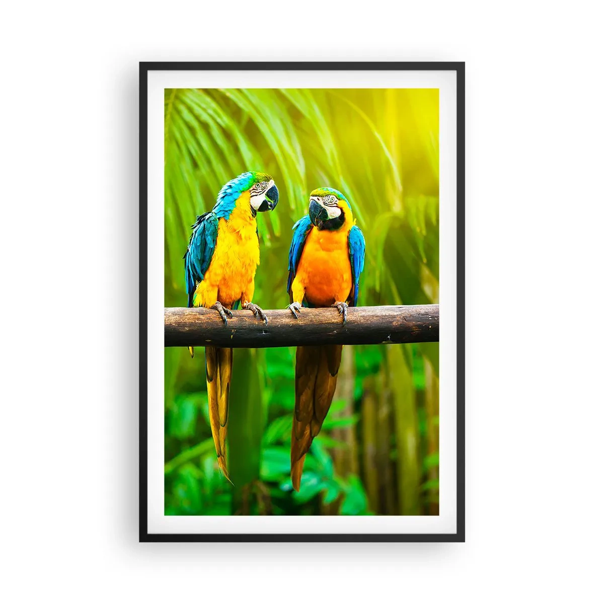 Poster în ramă neagră - Și ai auzit că ea...? - 61x91 cm