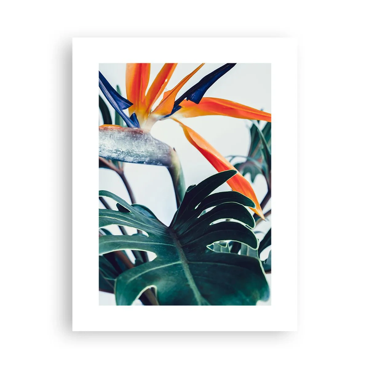 Poster - Tufiș sau pasăre? - 30x40 cm