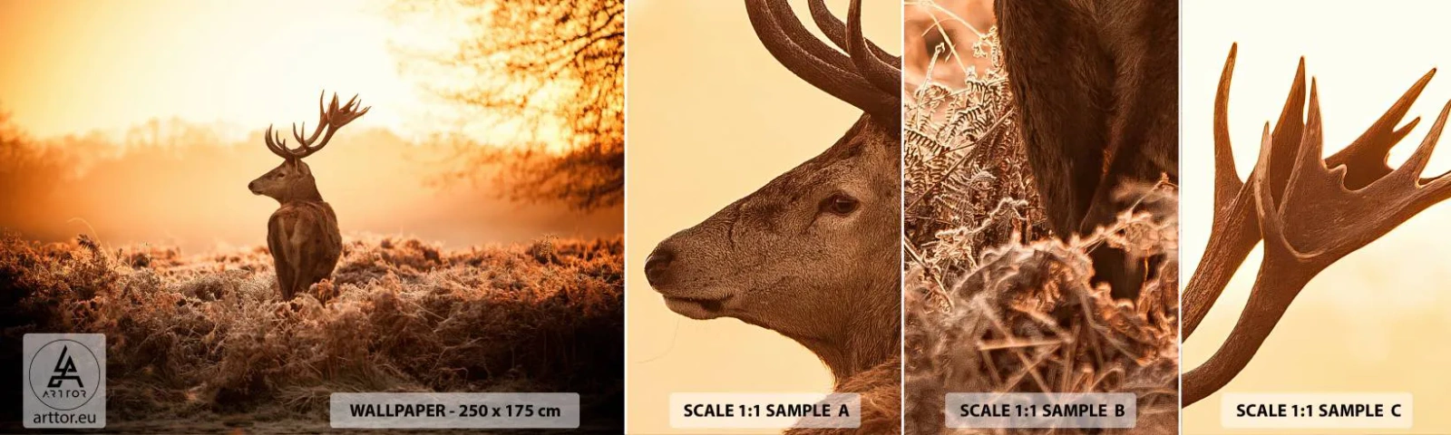 Mostră tapet autocolant Deluxe Sticker - Stăpânul conacului - Peisaj, Cerb, Animale - 100x30 cm