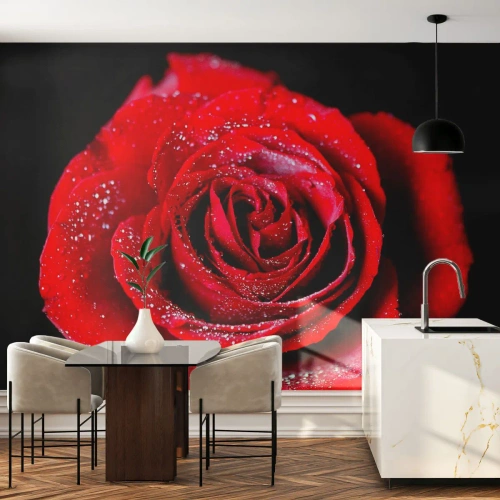 Tapet Autoadeziv Deluxe Sticker - Pur și simplu dragoste - Flori, Trandafir roșu, Petale de trandafir - 400x280 cm