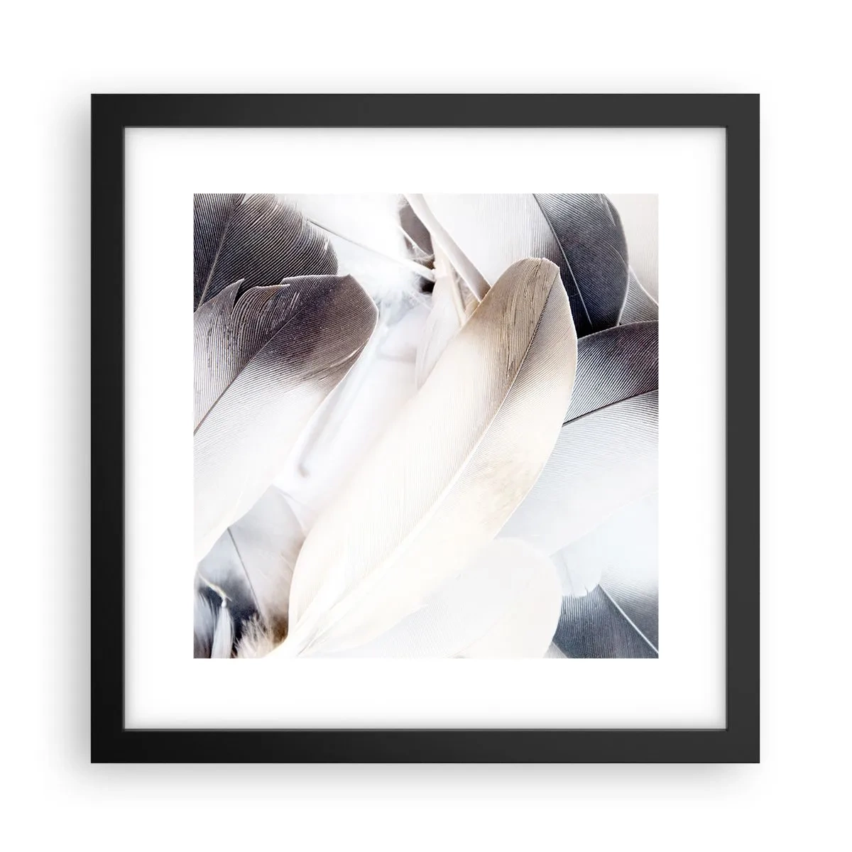 Poster în ramă neagră - Aproape angelice - 30x30 cm