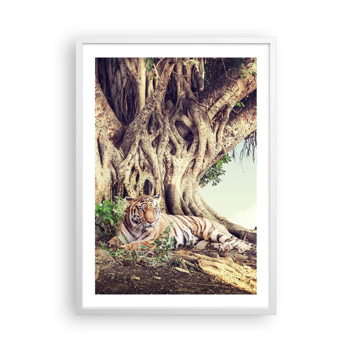 Poster în ramă albă - O perspectivă din Geneză - 50x70 cm