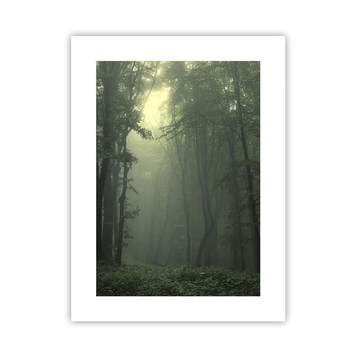 Poster - Înainte să se trezească - 30x40 cm