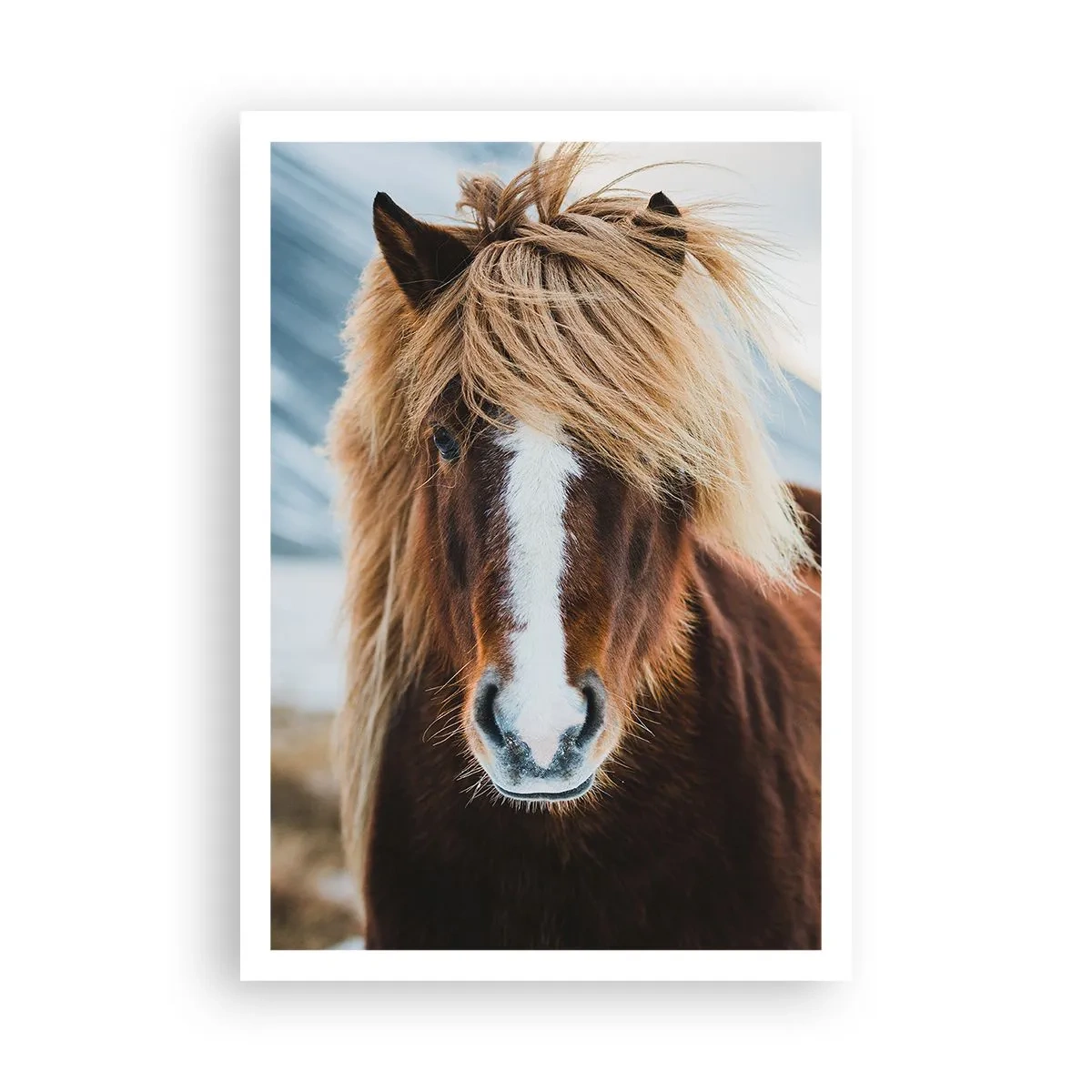 Poster - Simțiți libertatea? - 70x100 cm