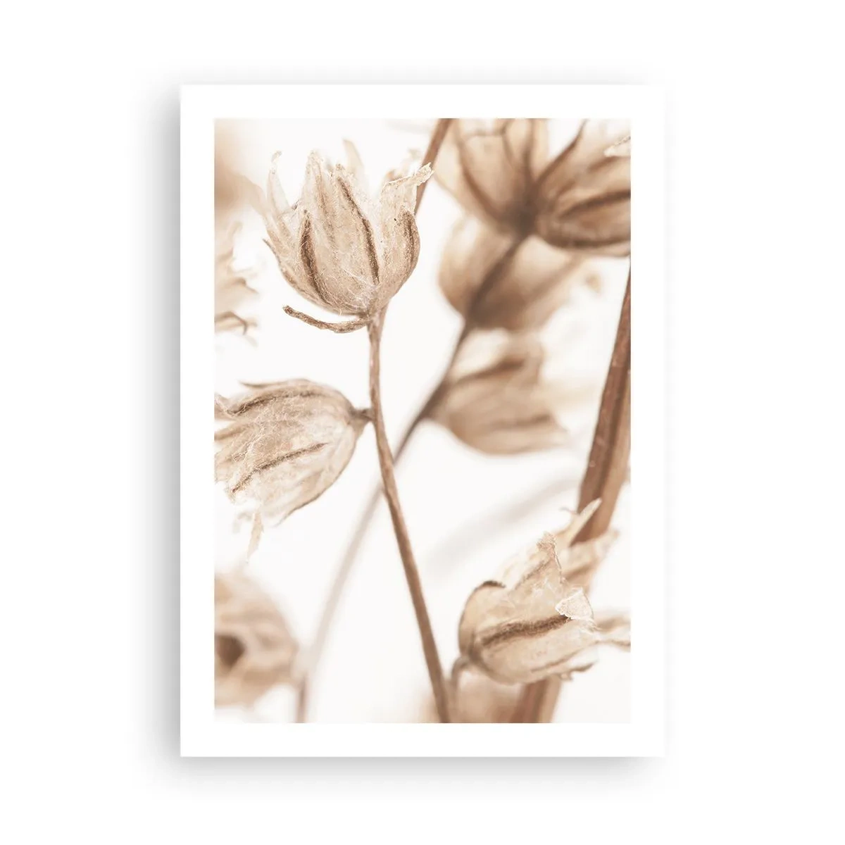 Poster - Sună ca sfârșitul verii - 50x70 cm