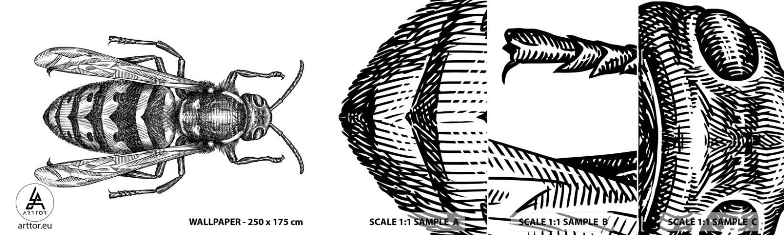 Mostră de Tapet Standard Eco - De pe o planetă de insecte - Viespe, Insectă, Minimalist - 100x30 cm