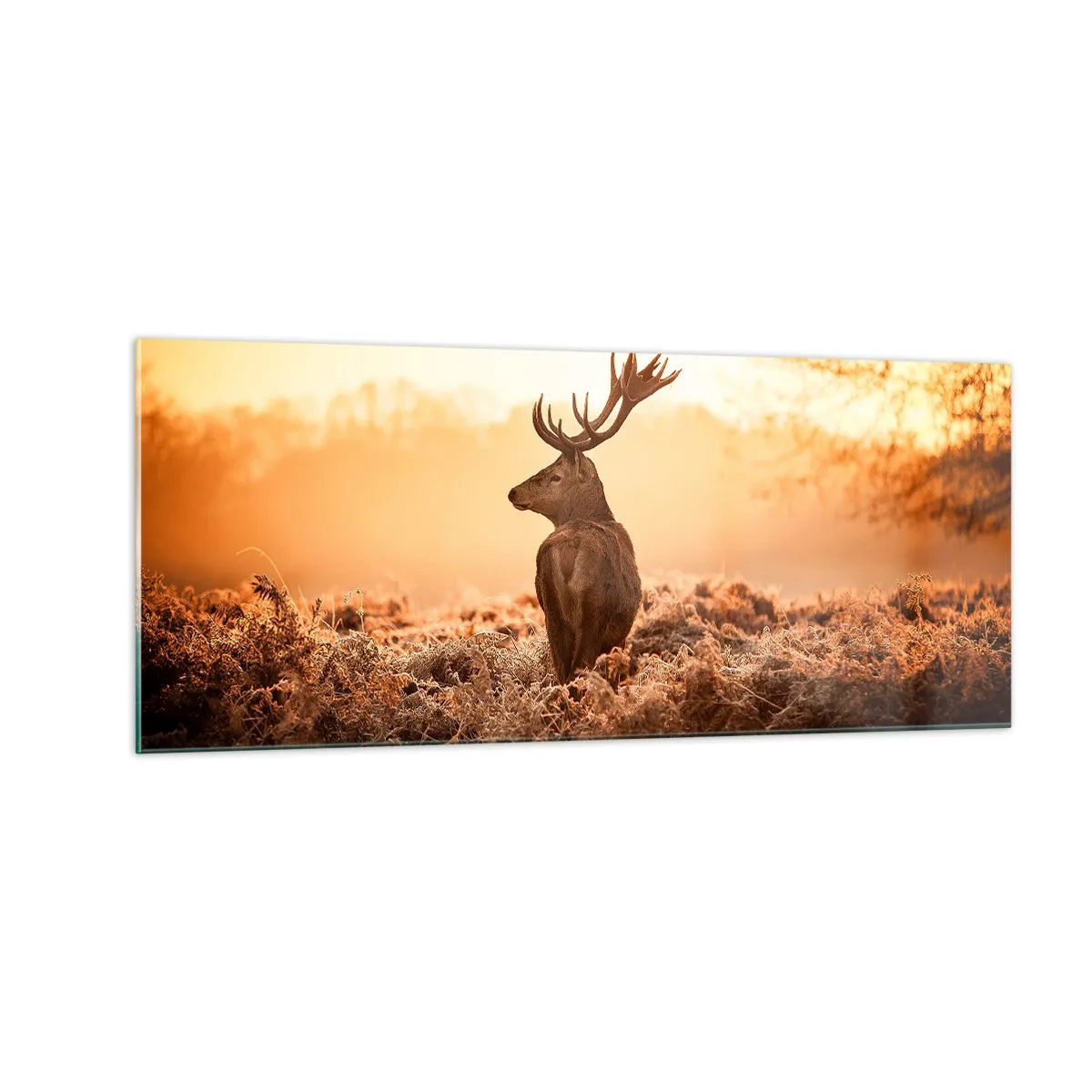 Tablou pe sticlă - Stăpânul conacului - 100x40 cm