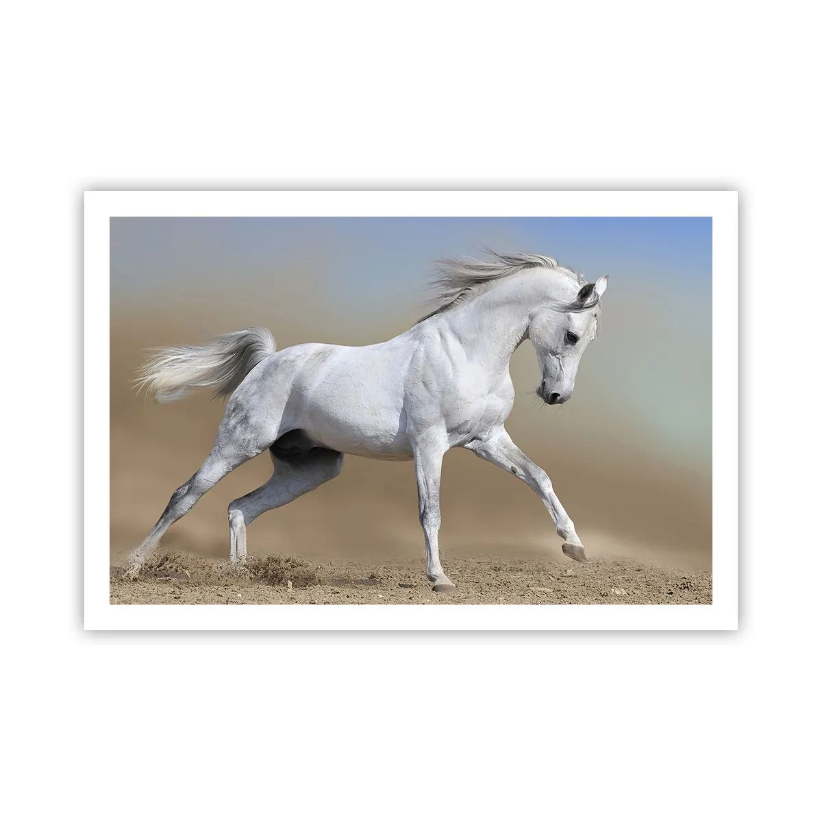 Poster - Cea mai frumoasă poveste arabă - 91x61 cm