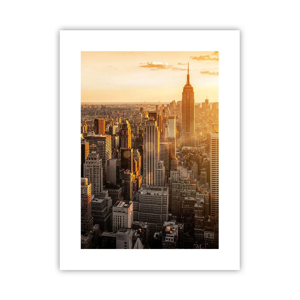 Poster - Crescând la soare - 30x40 cm