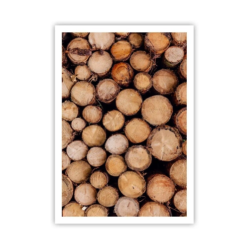 Poster - Un nou început - 70x100 cm