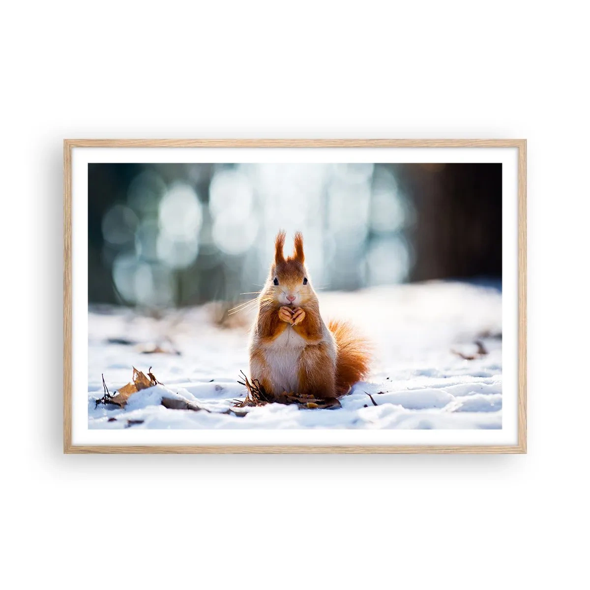 Poster în ramă de stejar deschis - Și la ce te uiți? - 91x61 cm