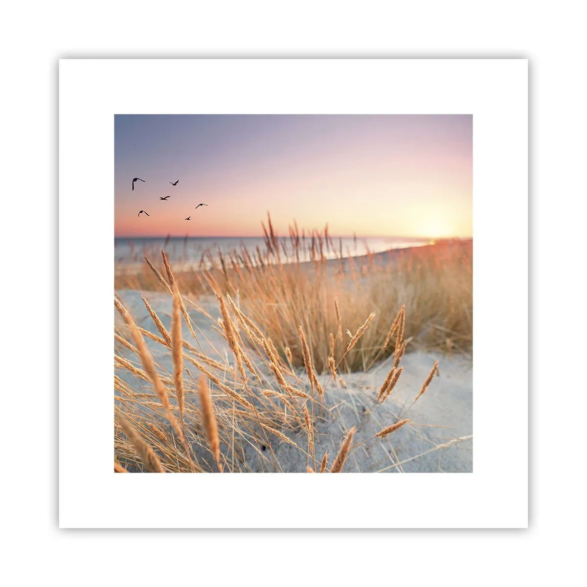 Poster - Cântec de leagăn baltic - 30x30 cm