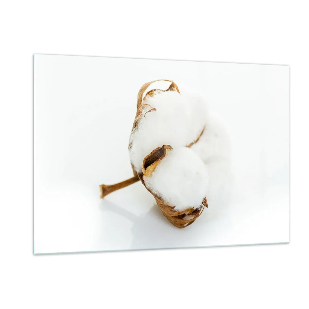 Tablou pe sticlă - Moale prin natură - 120x80 cm