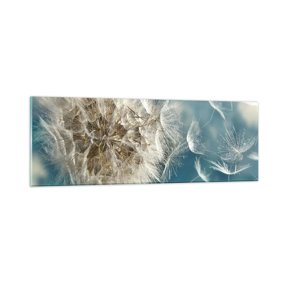 Tablou pe sticlă - Respirația unui înger - 90x30 cm