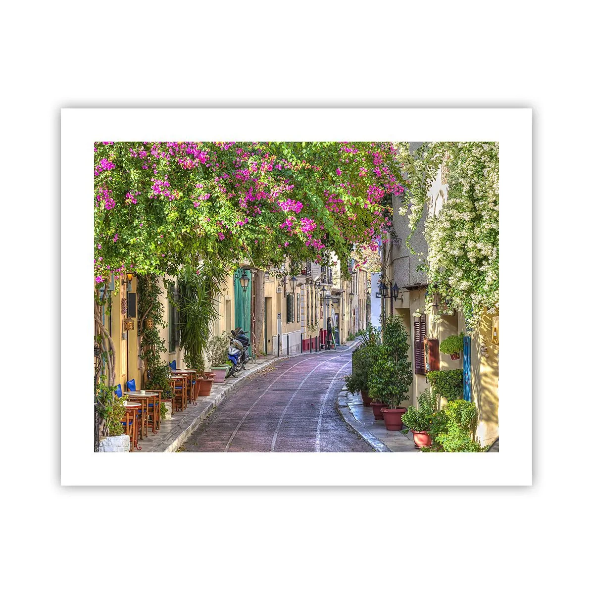Poster - Alee înfloritoare - 50x40 cm