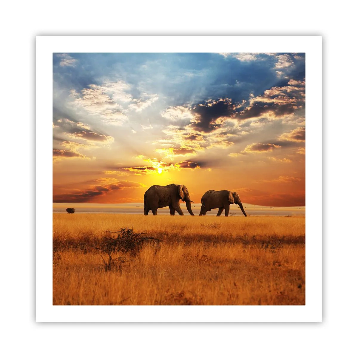 Poster - Plimbare în familie - 60x60 cm
