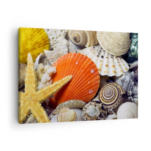 Tablou pe pânză Canvas - Scoici și stele de mare într-o compoziție marină - 70x50cm - Comorile oceanului - Decorațiune modernă pentru perete pentru living și dormitor ARTTOR