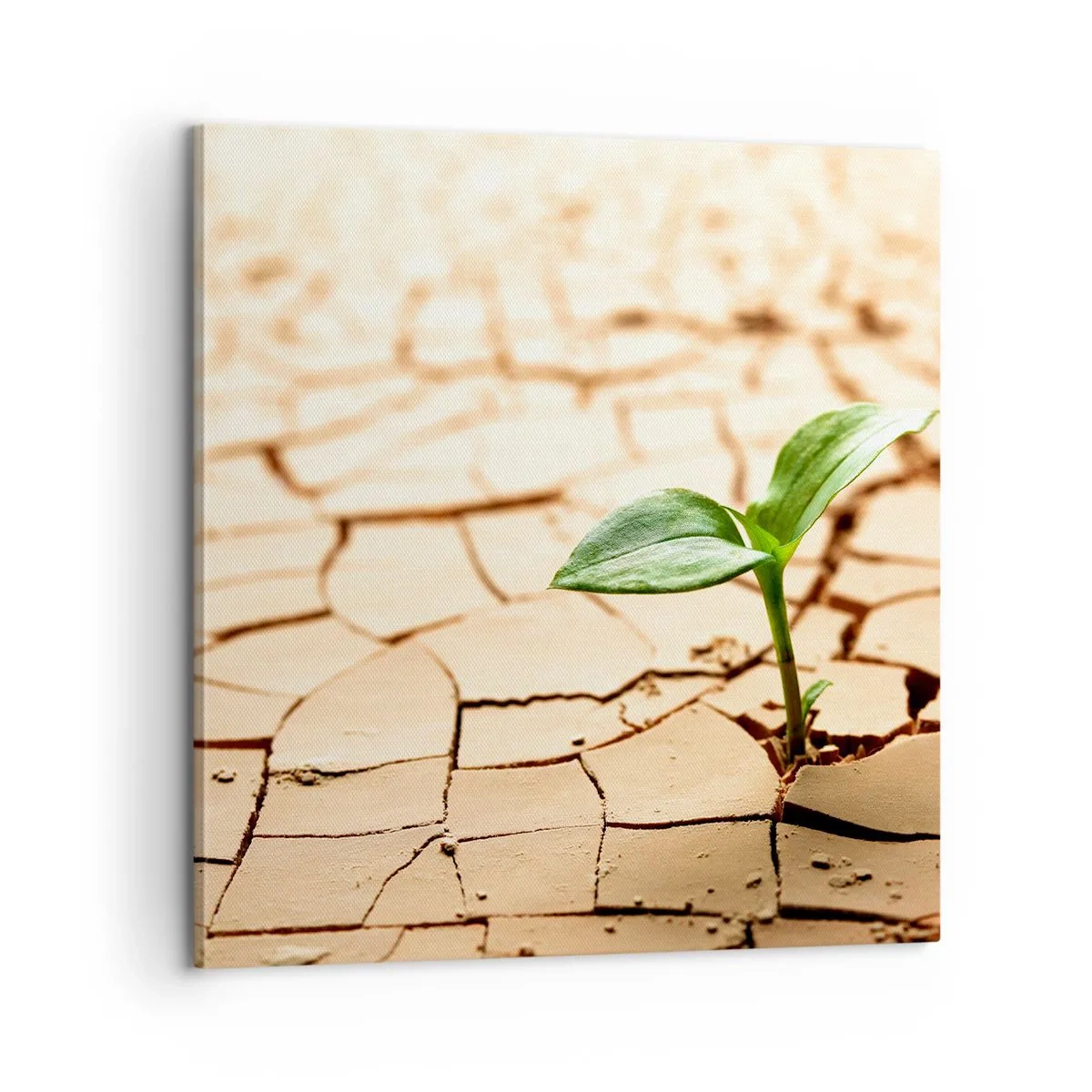 Tablou pe pânză - Forța irepresibilă a vieții - 60x60 cm