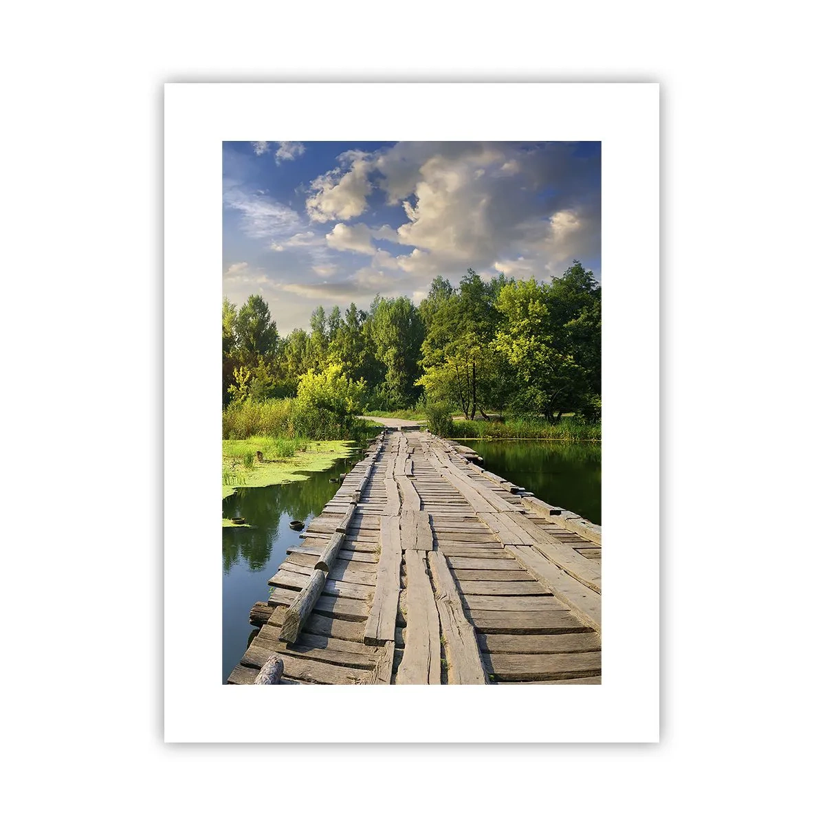 Poster - Vară, vară peste tot - 30x40 cm