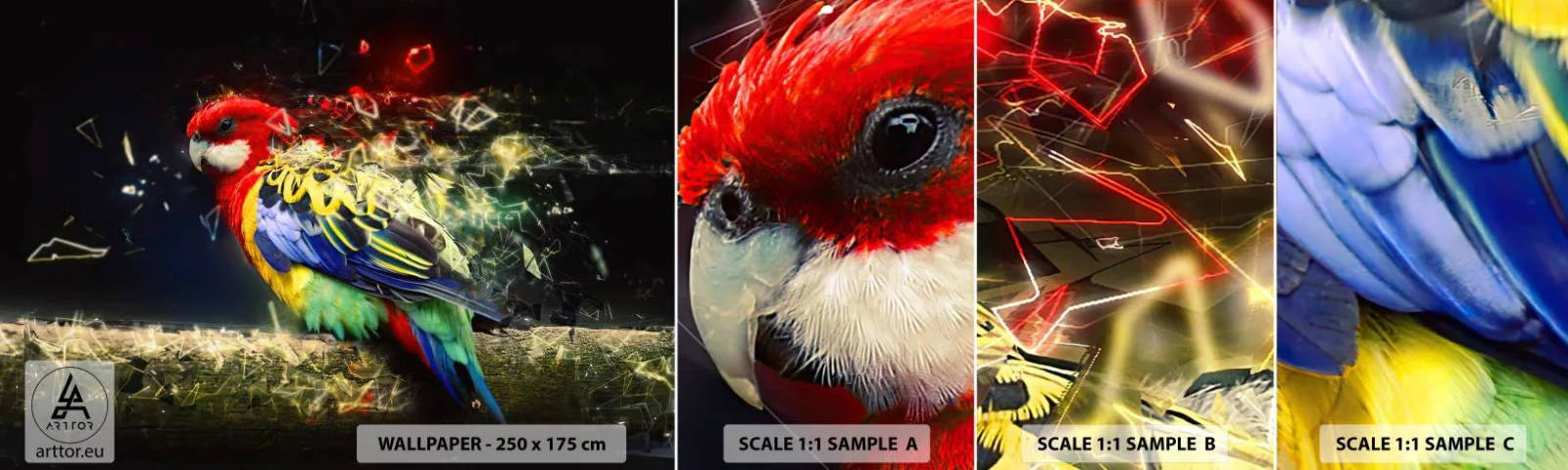 Mostră de Tapet Standard Eco - Mesagerul strălucirii - Abstracția, Papagal, Pasăre - 100x30 cm