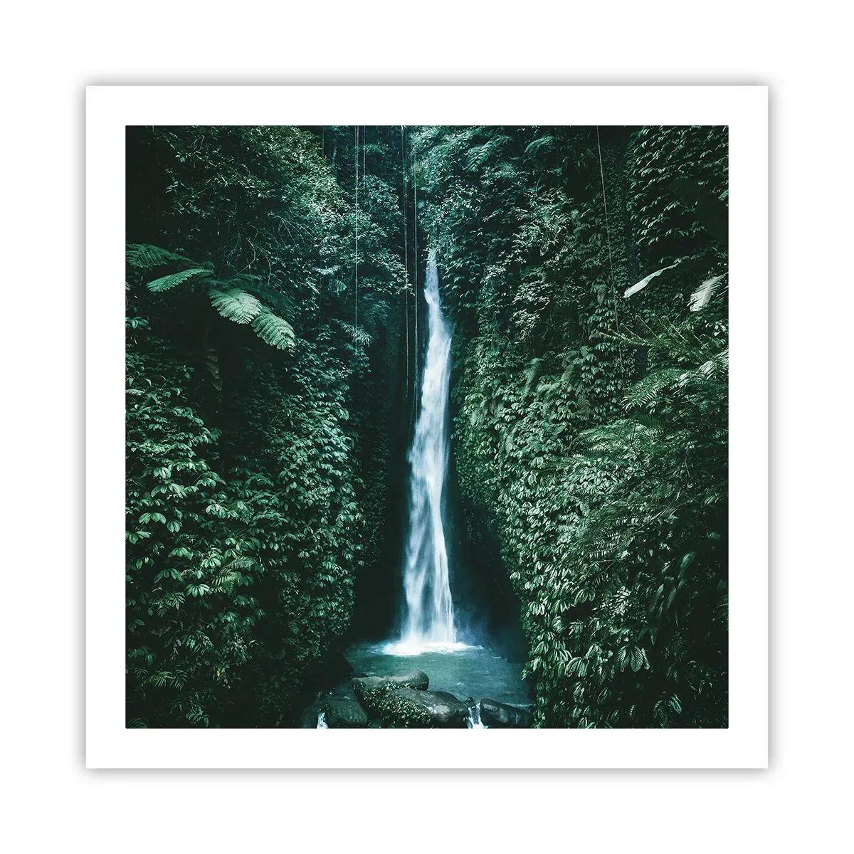 Poster - Băi tropicale - 60x60 cm