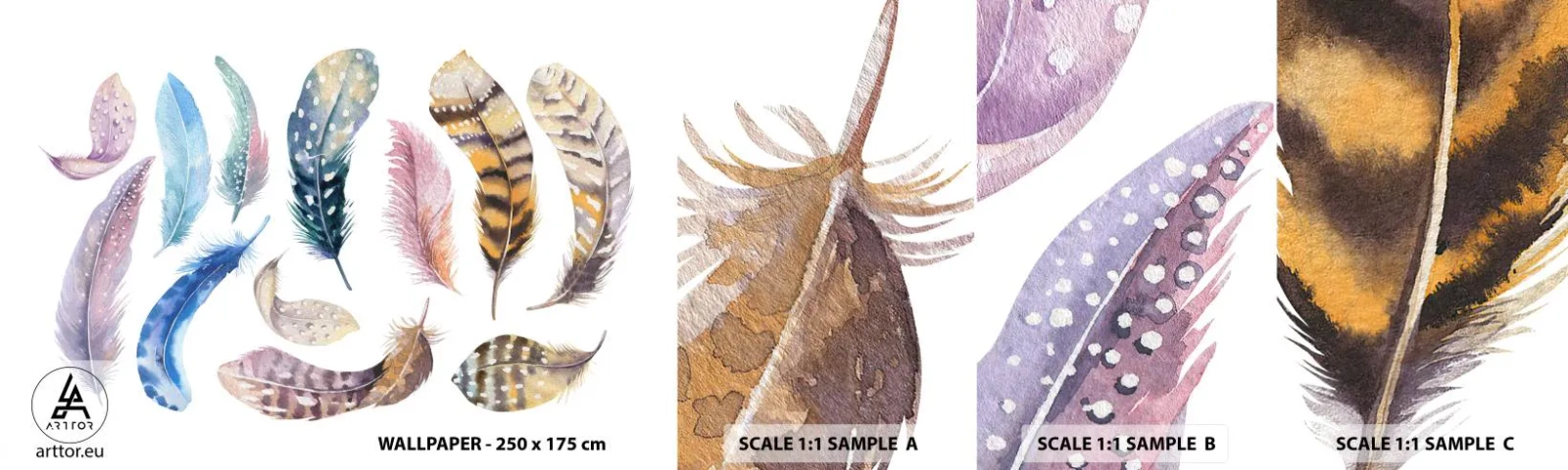 Mostră de Tapet Standard Eco - Ușoare și colorate - Pene de păsări, Păsări, Grafică - 100x30 cm