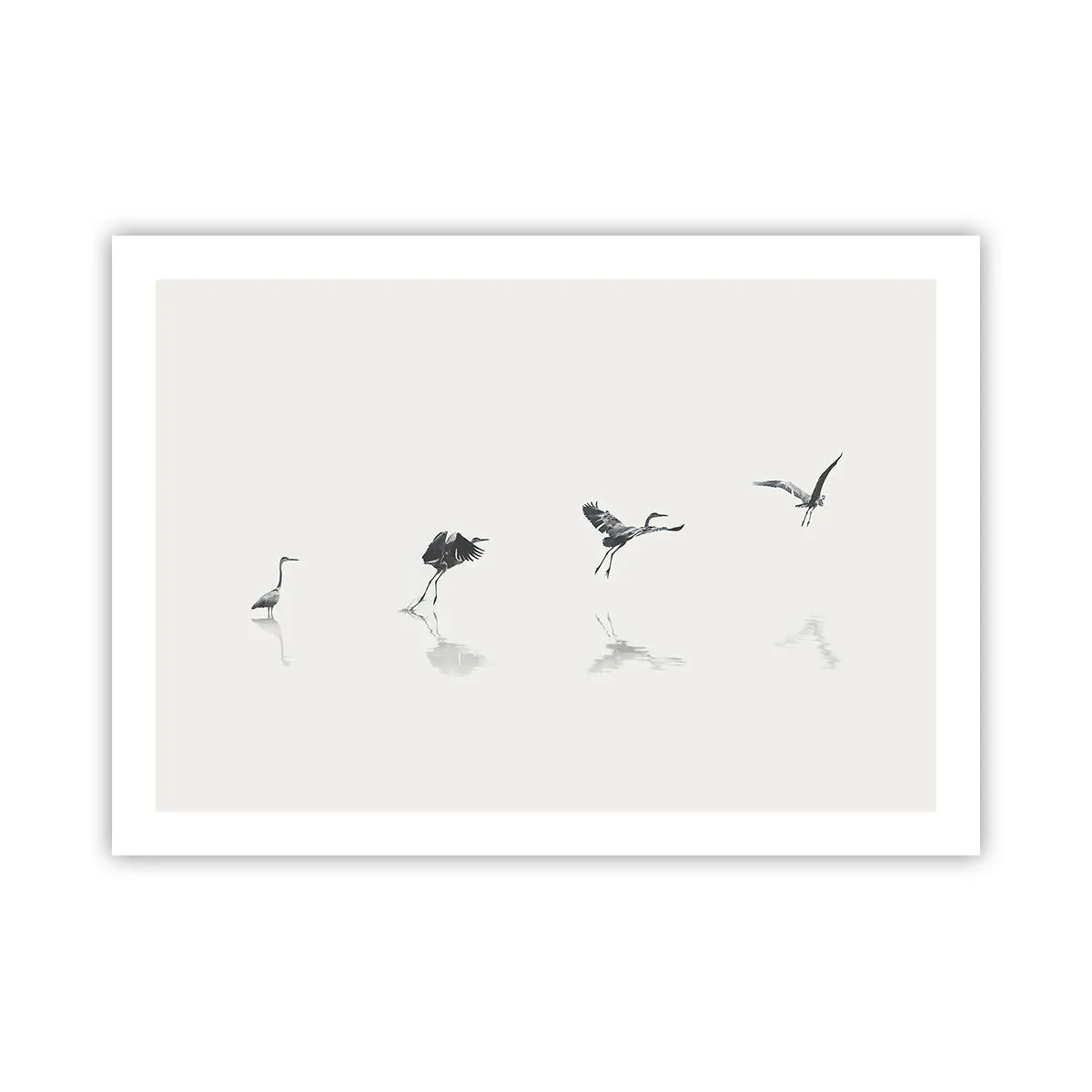 Poster - Patru pași simpli - 70x50 cm