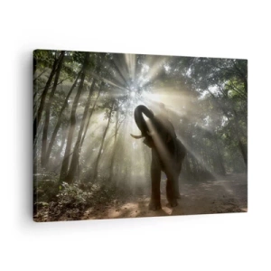Tablou pe pânză Canvas - Un elefant în pădure, înconjurat de raze de lumină în ceața dimineții - 70x50cm - Sub o stea norocoasă - Decorațiune modernă pentru perete pentru living și dormitor ARTTOR