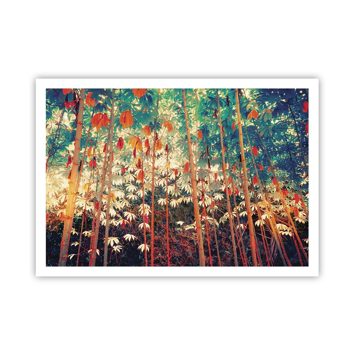 Poster - Viața secretă a frunzelor - 100x70 cm