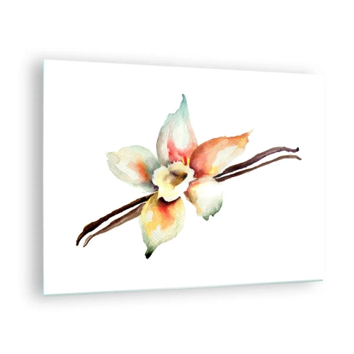 Tablou pe sticlă - Ilustrație în acuarelă a unei flori de vanilie pe fundal alb - 70x50cm - Dulceața stropită - Decorațiune modernă pentru perete pentru living și dormitor ARTTOR