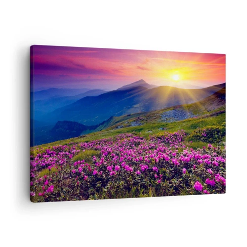 Tablou pe pânză Canvas - O pajiște înflorită cu vedere la munți în timpul apusului - 70x50cm - ... Și peste tot în jur se simte un miros de jneapăn și parfum de ierburi... - Decorațiune modernă pentru perete pentru living și dormitor ARTTOR