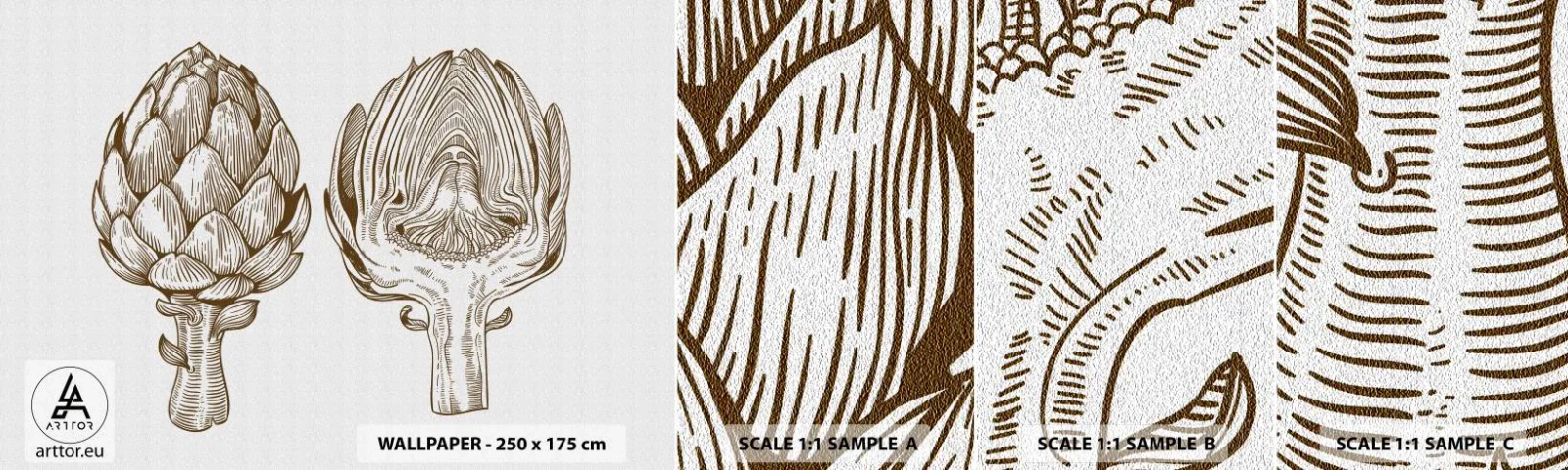 Mostră de Tapet Standard Eco - Lecție de anatomie - Anghinare, Bucătărie, Legume - 100x30 cm