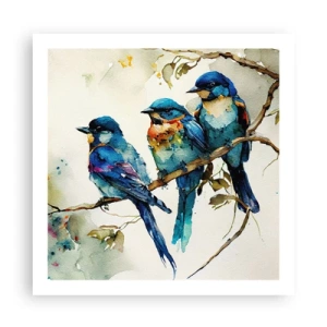 Poster - Se simte jignit? - 60x60 cm