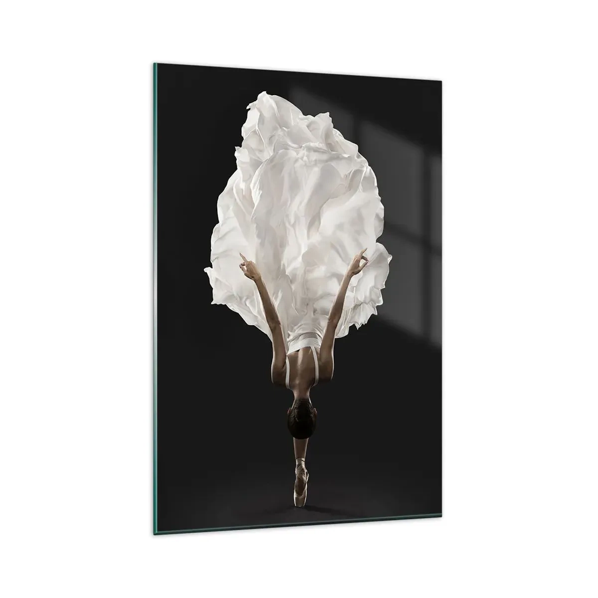 Tablou pe sticlă - Un pas neobișnuit - 80x120 cm