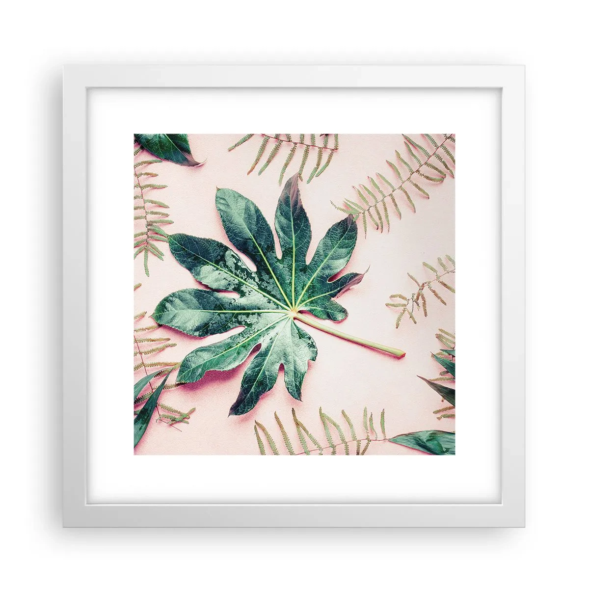 Poster în ramă albă - Studiu de verdeață pe un fundal roz - 30x30 cm