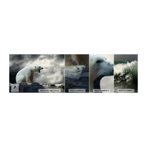 Mostră tapet autocolant Deluxe Sticker - Regele singuratic al Arcticii - Animale, Urs polar, Ocean - 100x30 cm