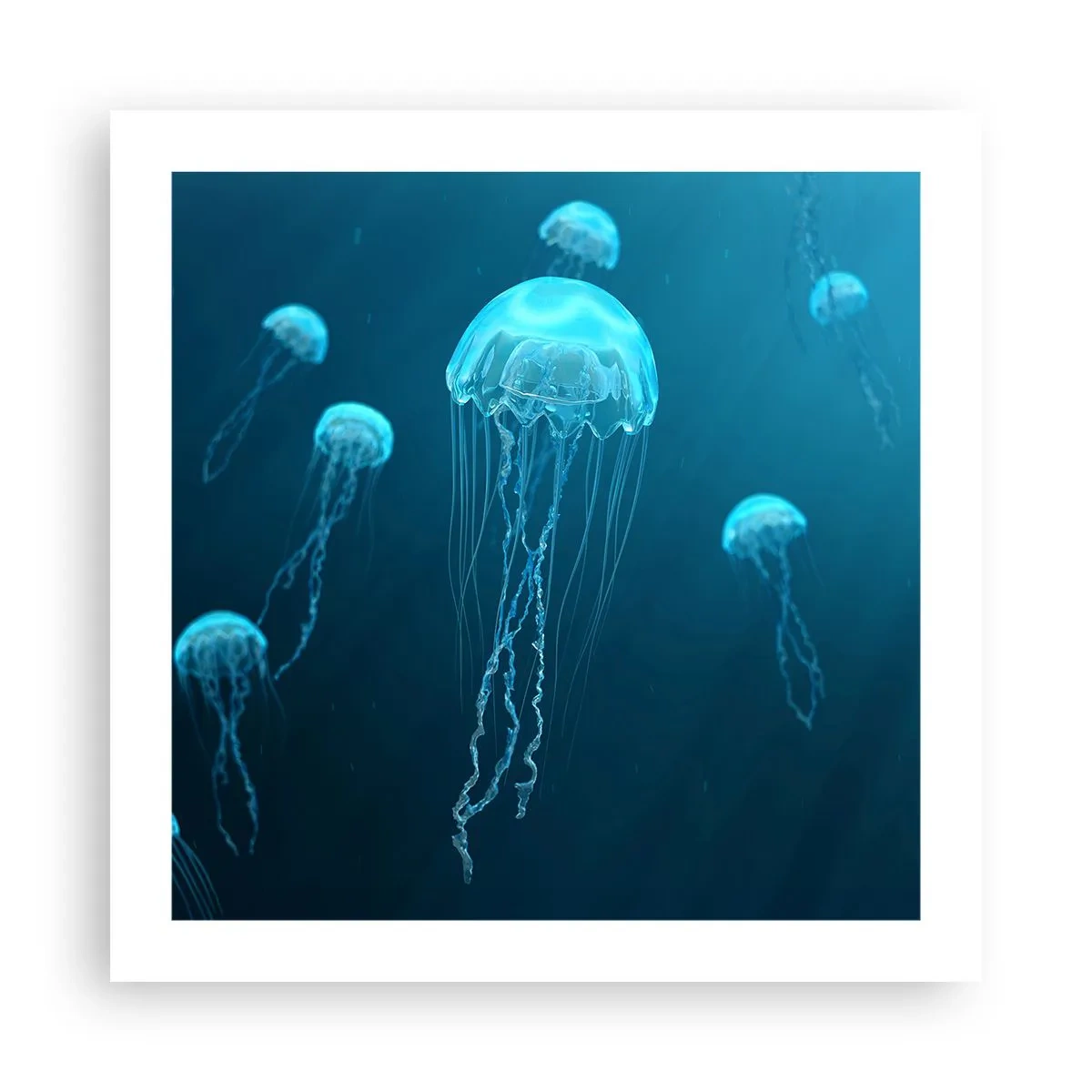Poster - Dansul oceanic - 50x50 cm