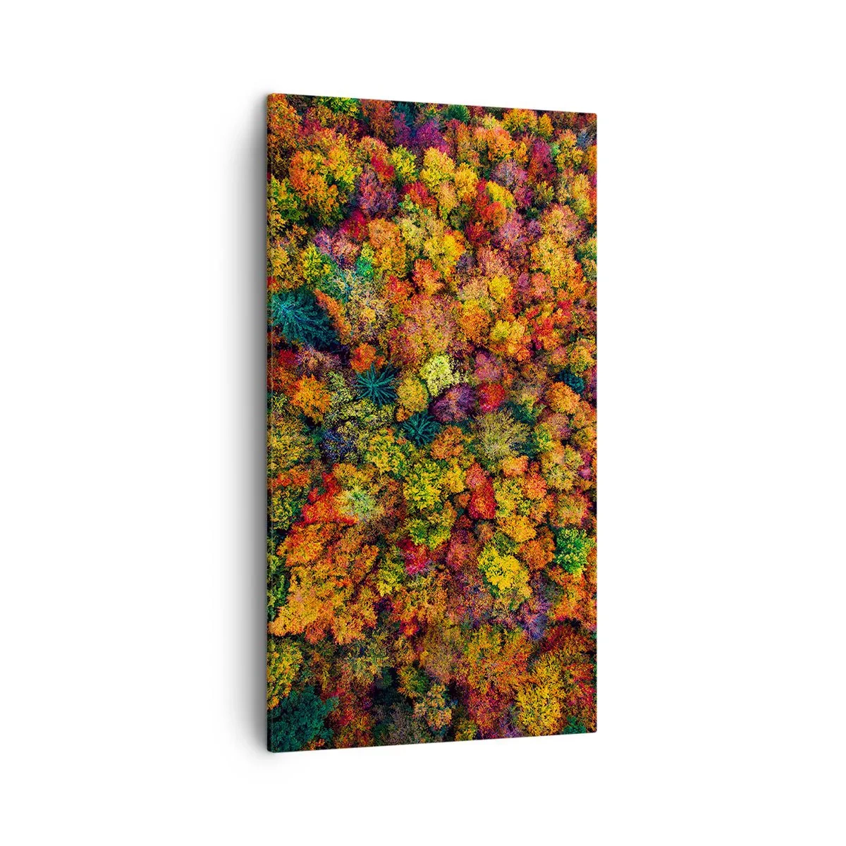 Tablou pe pânză - Buchet de copaci de toamnă - 45x80 cm