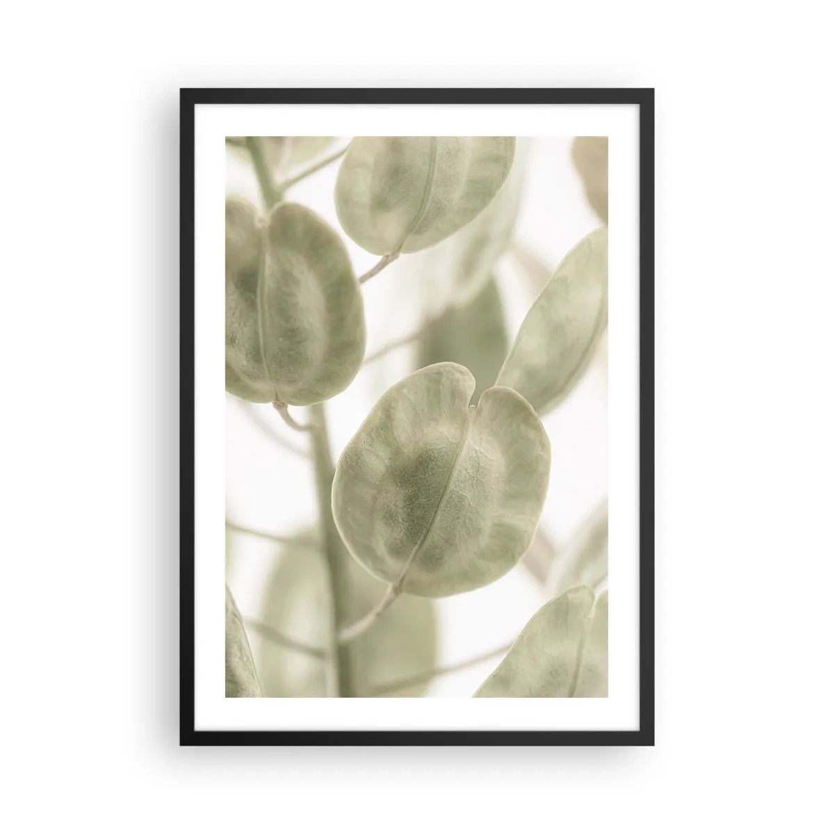 Poster în ramă neagră - Prim-plan cu frunze verzi în lumină naturală - 50x70cm - La început au fost frunzele... - Decorațiune modernă pentru perete pentru living și dormitor ARTTOR